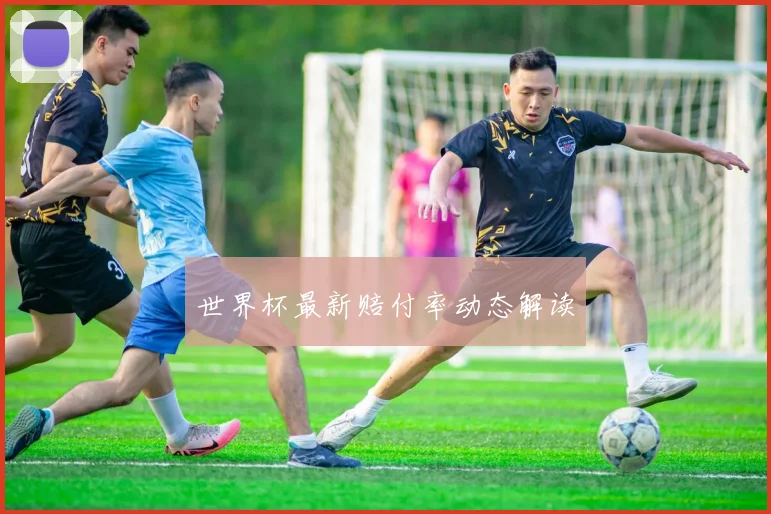 世界杯最新赔付率动态解读