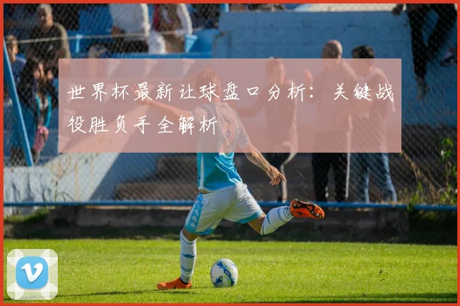 世界杯最新让球盘口分析:关键战役胜负手全解析