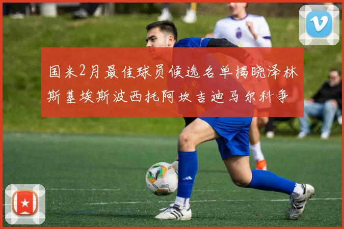 国米2月最佳球员候选名单揭晓泽林斯基埃斯波西托阿坎吉迪马尔科争夺荣誉