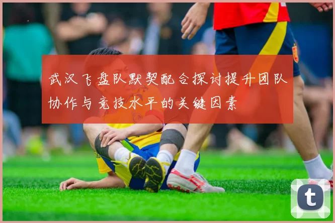 武汉飞盘队默契配合探讨提升团队协作与竞技水平的关键因素