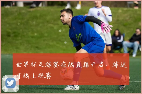世界杯足球赛在线直播开启,球迷可线上观赛