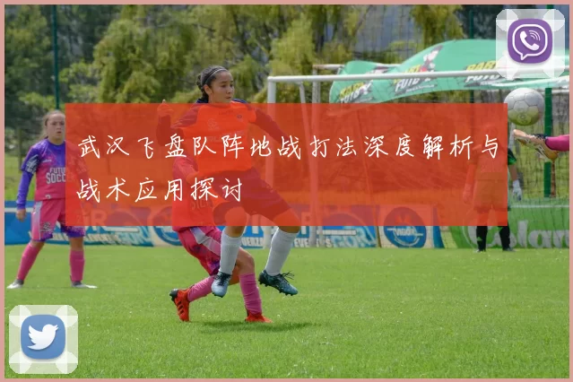 武汉飞盘队阵地战打法深度解析与战术应用探讨