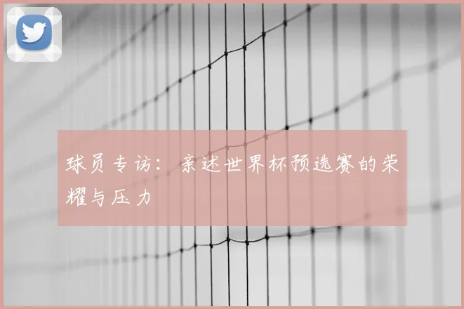 球员专访：亲述世界杯预选赛的荣耀与压力