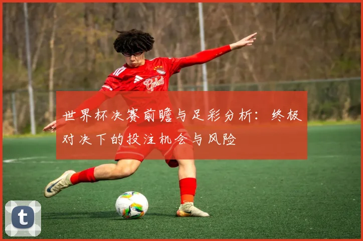 世界杯决赛前瞻与足彩分析：终极对决下的投注机会与风险