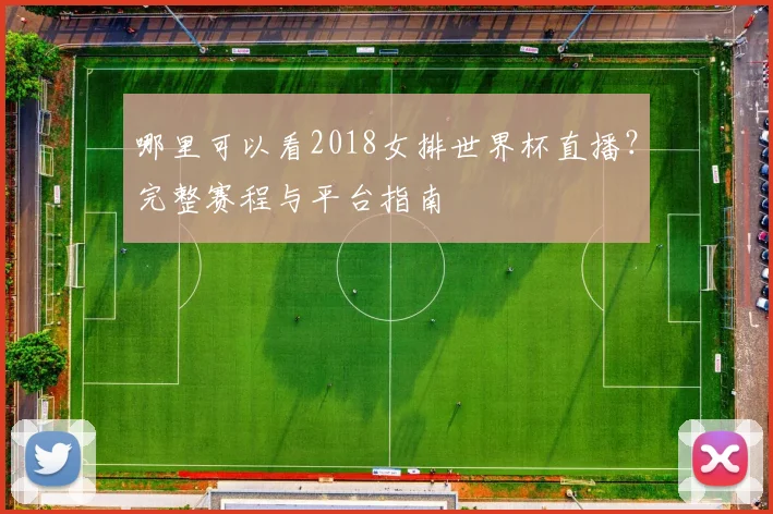 哪里可以看2018女排世界杯直播?完整赛程与平台指南